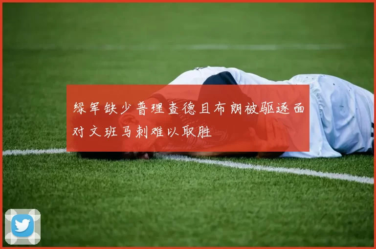 绿军缺少普理查德且布朗被驱逐面对文班马刺难以取胜