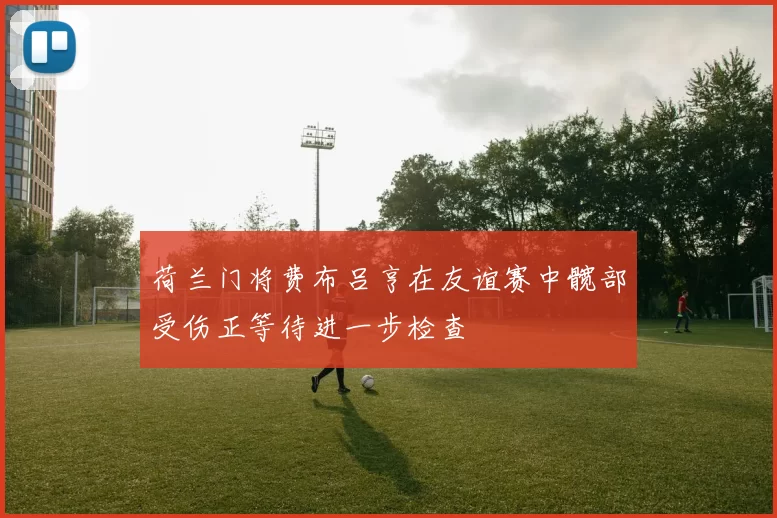 荷兰门将费布吕亨在友谊赛中髋部受伤正等待进一步检查